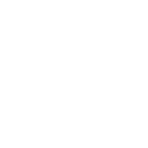 Ein Logo-Bestandteil von Portsol 19